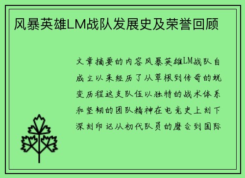 风暴英雄LM战队发展史及荣誉回顾