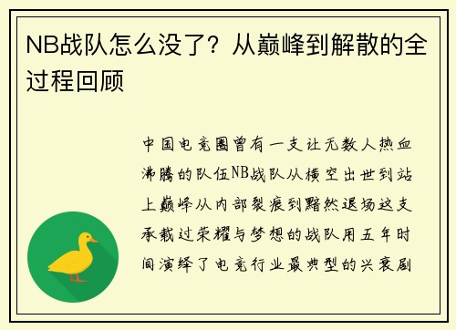 NB战队怎么没了？从巅峰到解散的全过程回顾